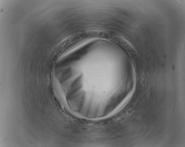 X0000066100821200603312023