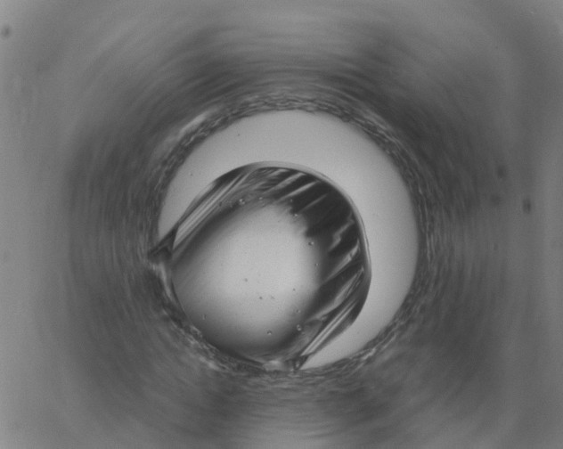 X0000066100822200603312023