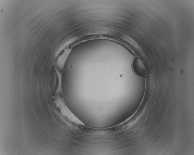 X0000066100826200603312023