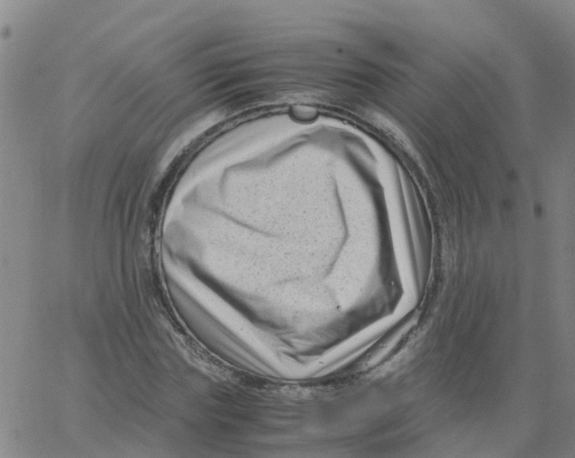 X0000066100827200603312023