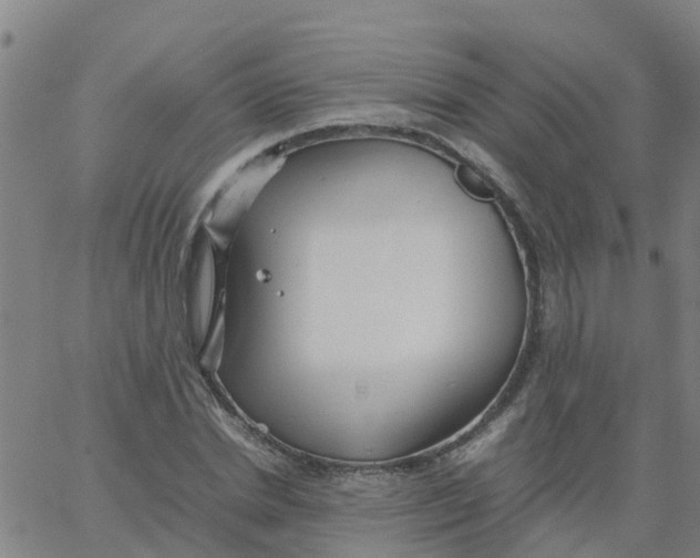 X0000066100830200603312023