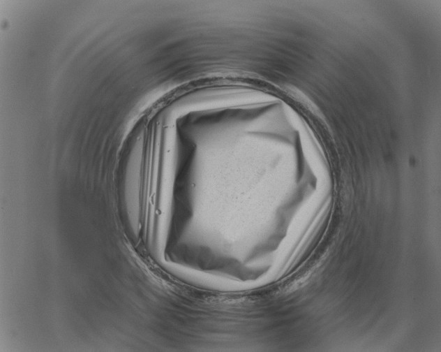 X0000066100831200603312023