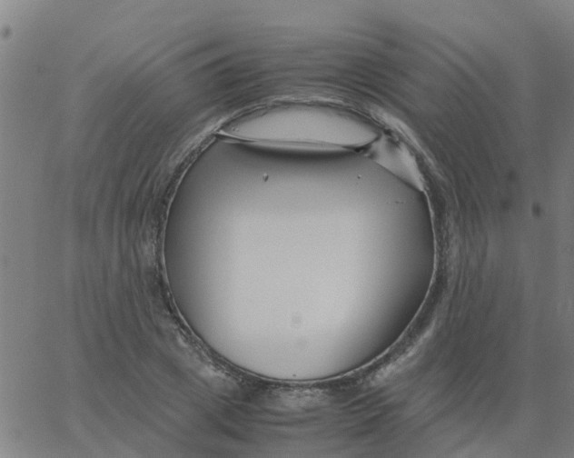 X0000066100833200603312023