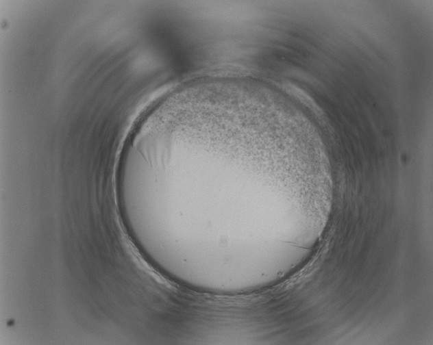 X0000066100840200603312023