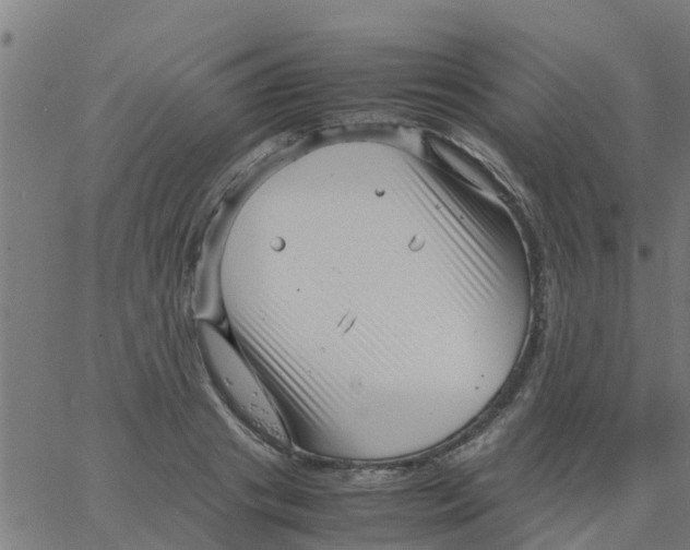 X0000066100841200603312023