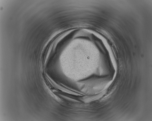 X0000066100843200603312023