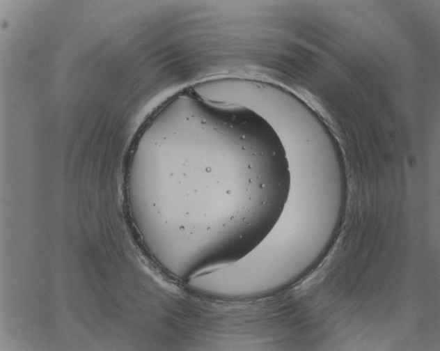 X0000066100846200603312023