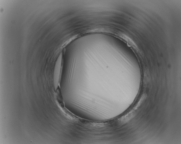 X0000066100849200603312023