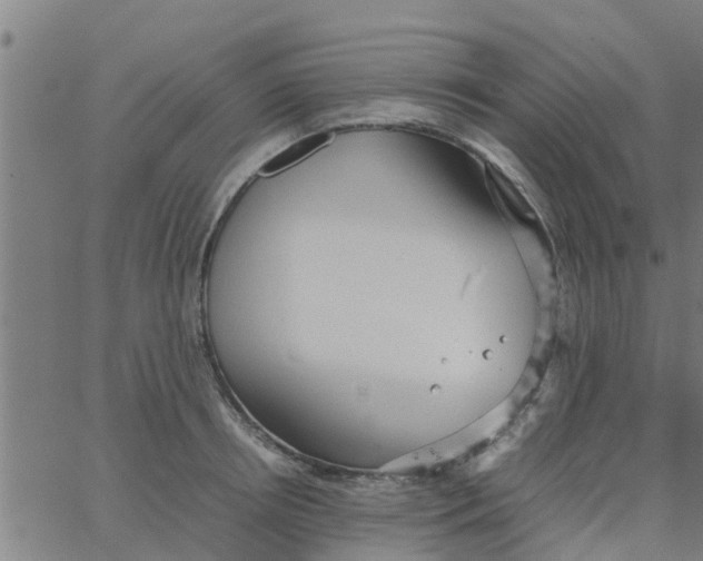 X0000066100850200603312023