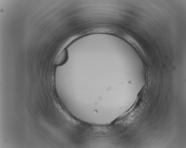 X0000066100852200603312023