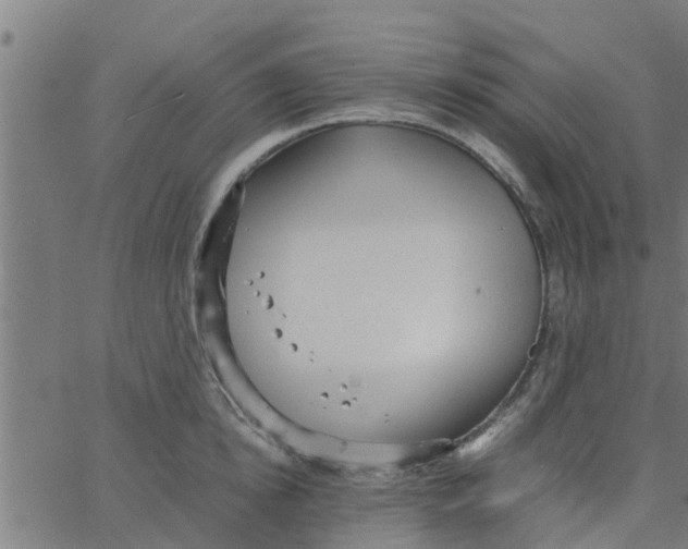 X0000066100854200603312023