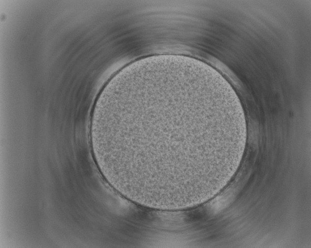 X0000066100856200603312023