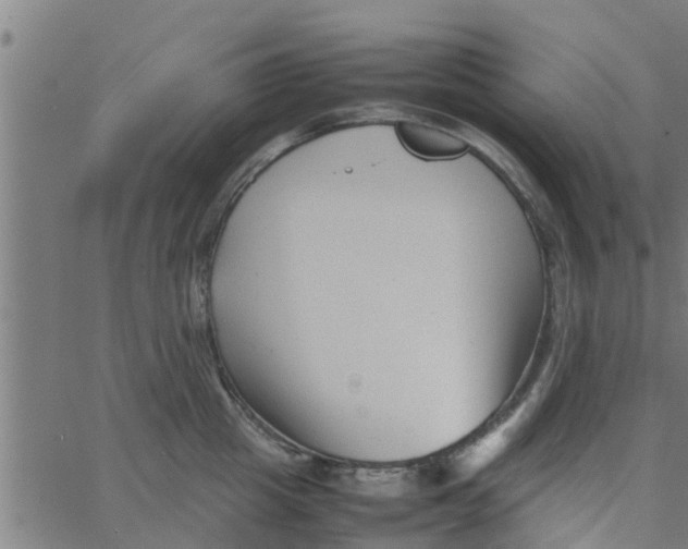 X0000066100857200603312023