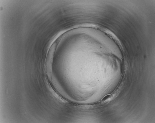 X0000066100860200603312023