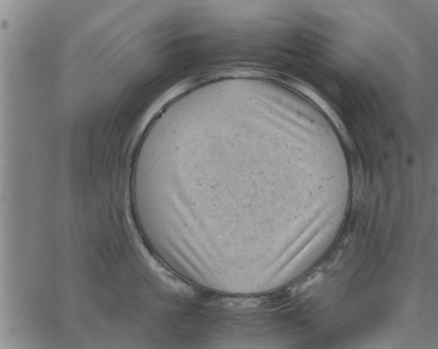 X0000066100861200603312023