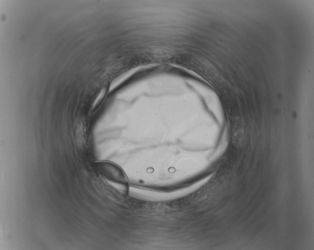 X0000066100866200603312023