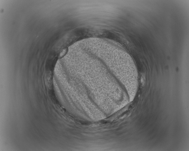 X0000066100867200603312023