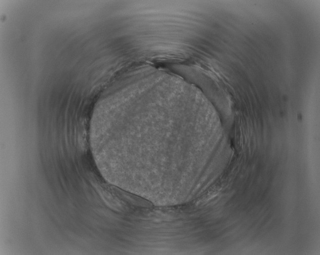 X0000066100868200603312023