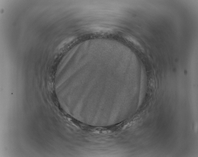 X0000066100869200603312023