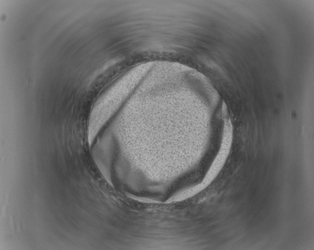 X0000066100870200603312023