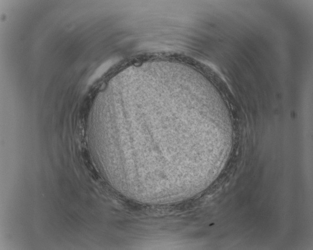 X0000066100871200603312023