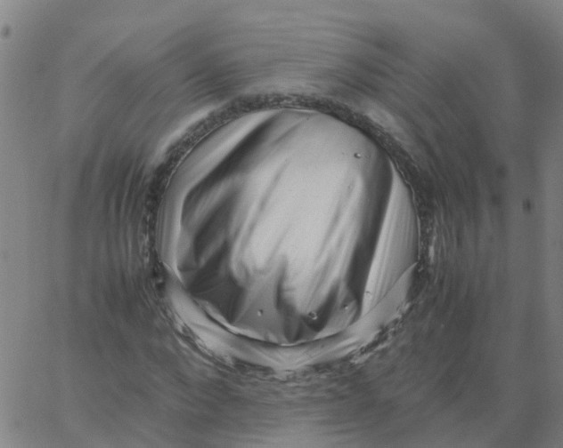 X0000066100872200603312023