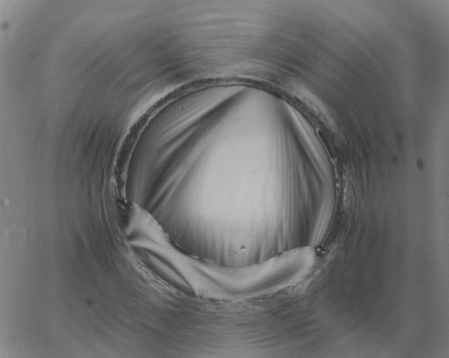 X0000066100876200603312022