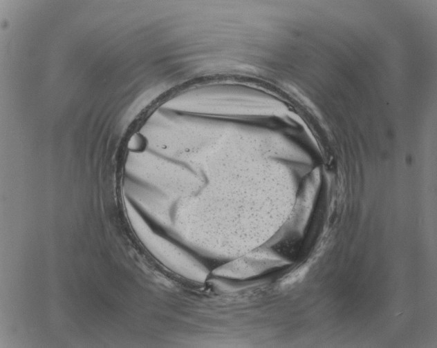 X0000066100877200603312022