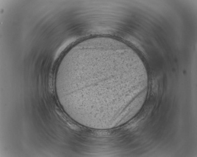 X0000066100878200603312022