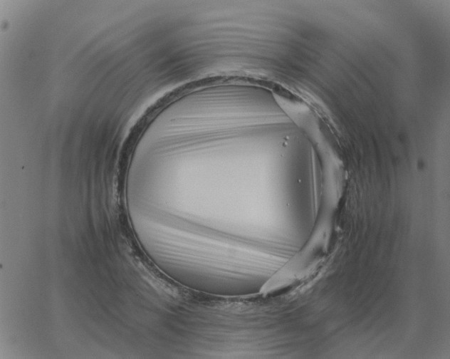 X0000066100880200603312022