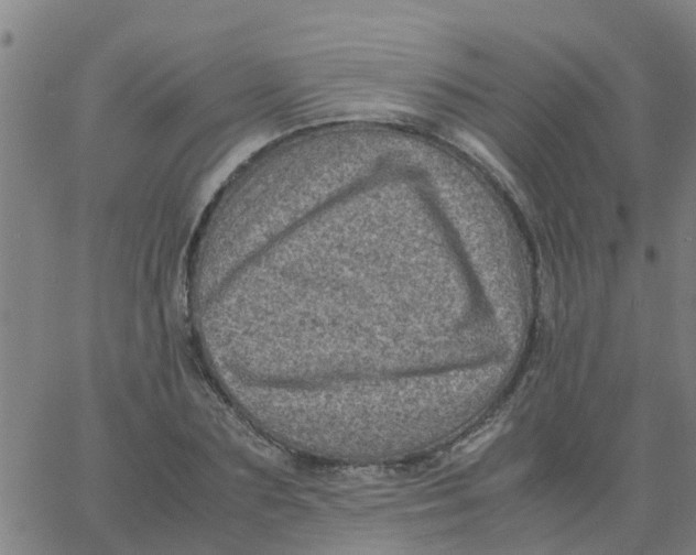 X0000066100883200603312022