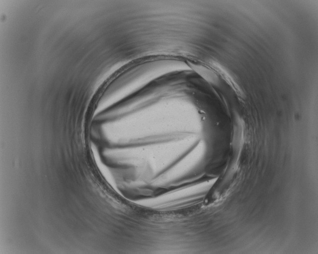 X0000066100884200603312022