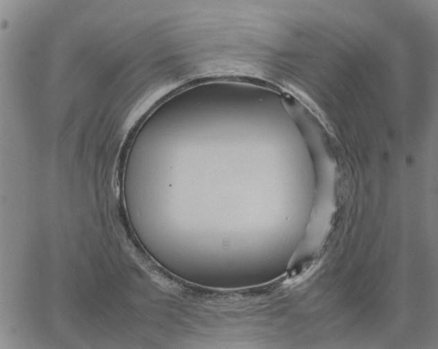 X0000066100885200603312022