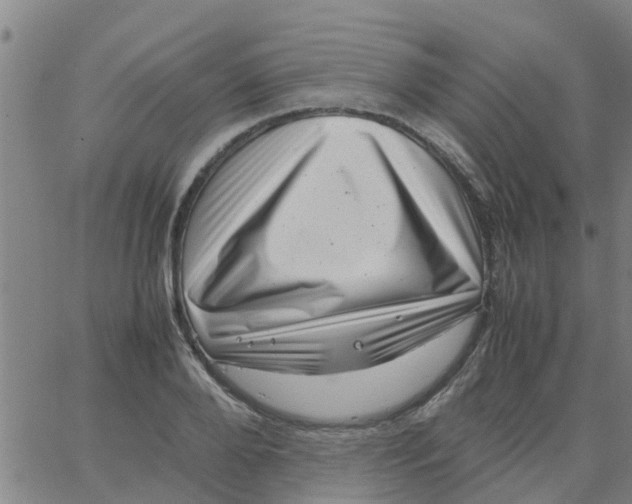 X0000066100888200603312022