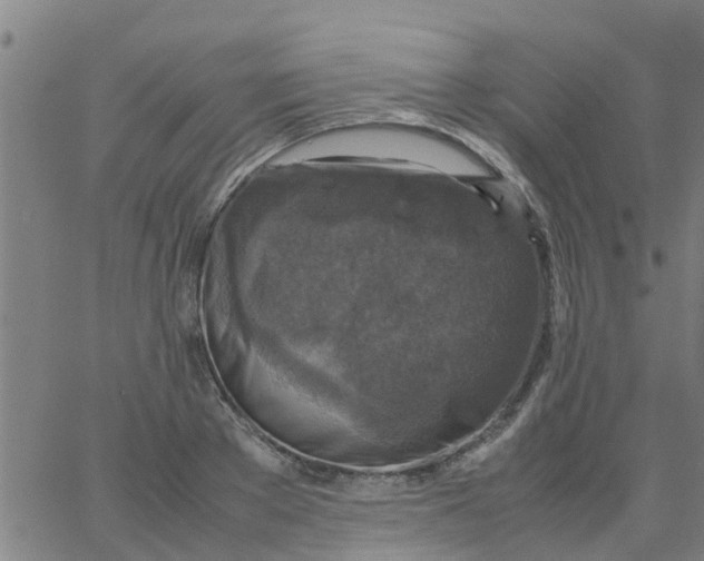 X0000066100889200603312022