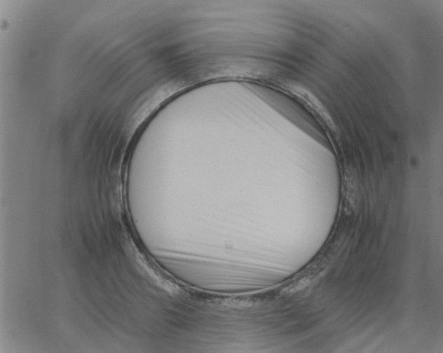 X0000066100890200603312022