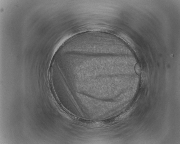 X0000066100891200603312022