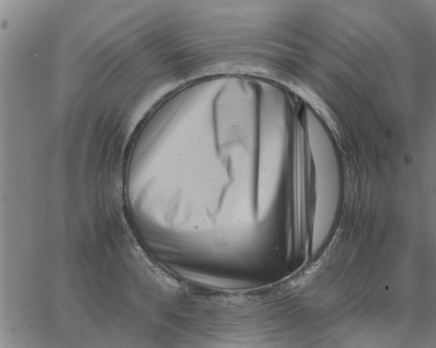 X0000066100896200603312022