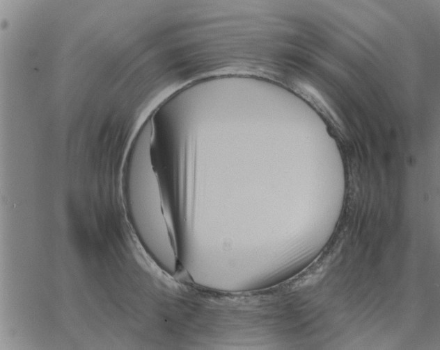 X0000066100900200603312022