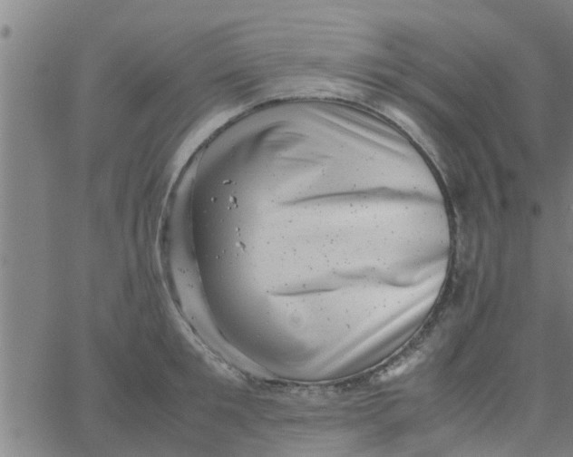 X0000066100901200603312022