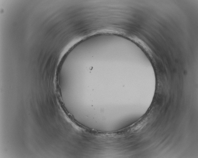 X0000066100902200603312022