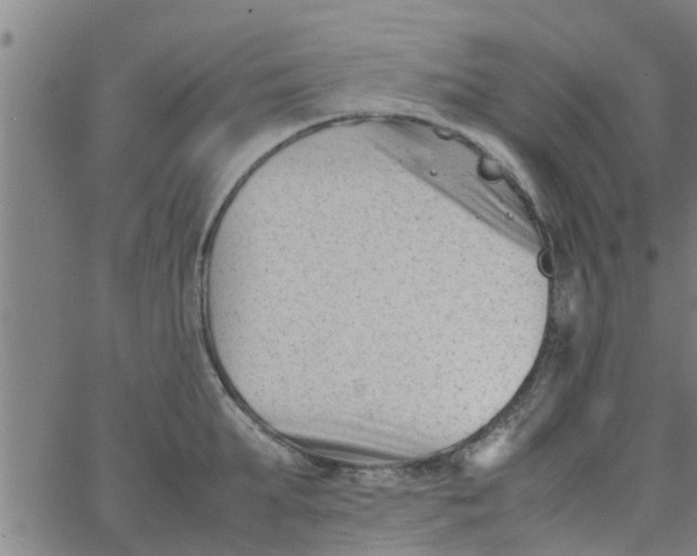 X0000066100903200603312022