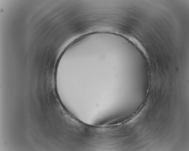 X0000066100904200603312022