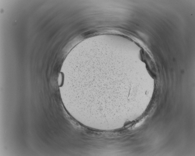 X0000066100905200603312022