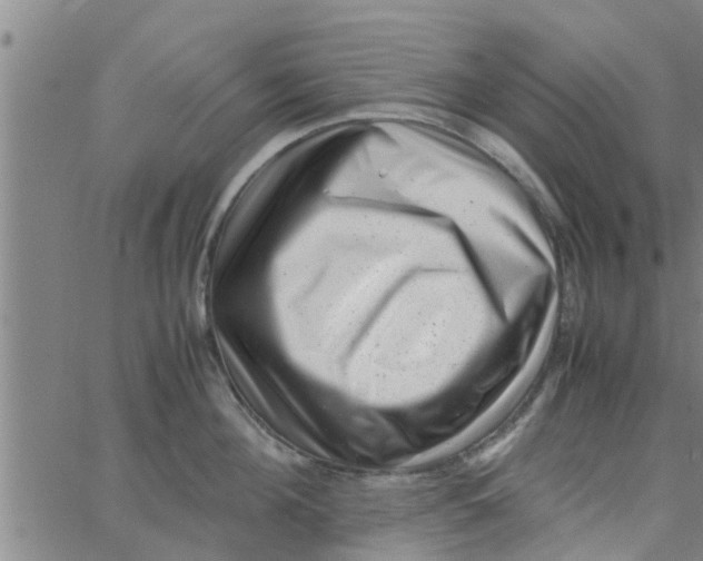 X0000066100908200603312022