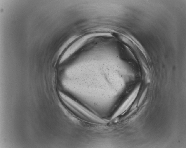 X0000066100909200603312022