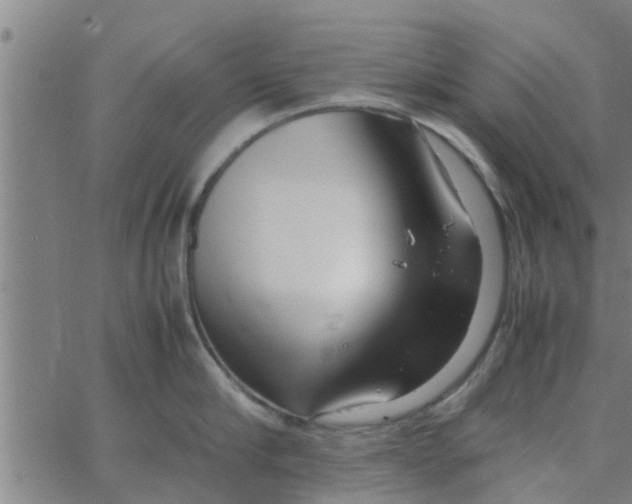 X0000066100910200603312022