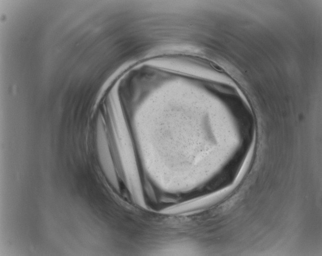 X0000066100912200603312022