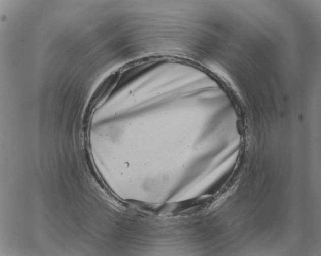 X0000066100924200603312021