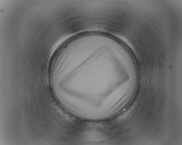 X0000066100927200603312021